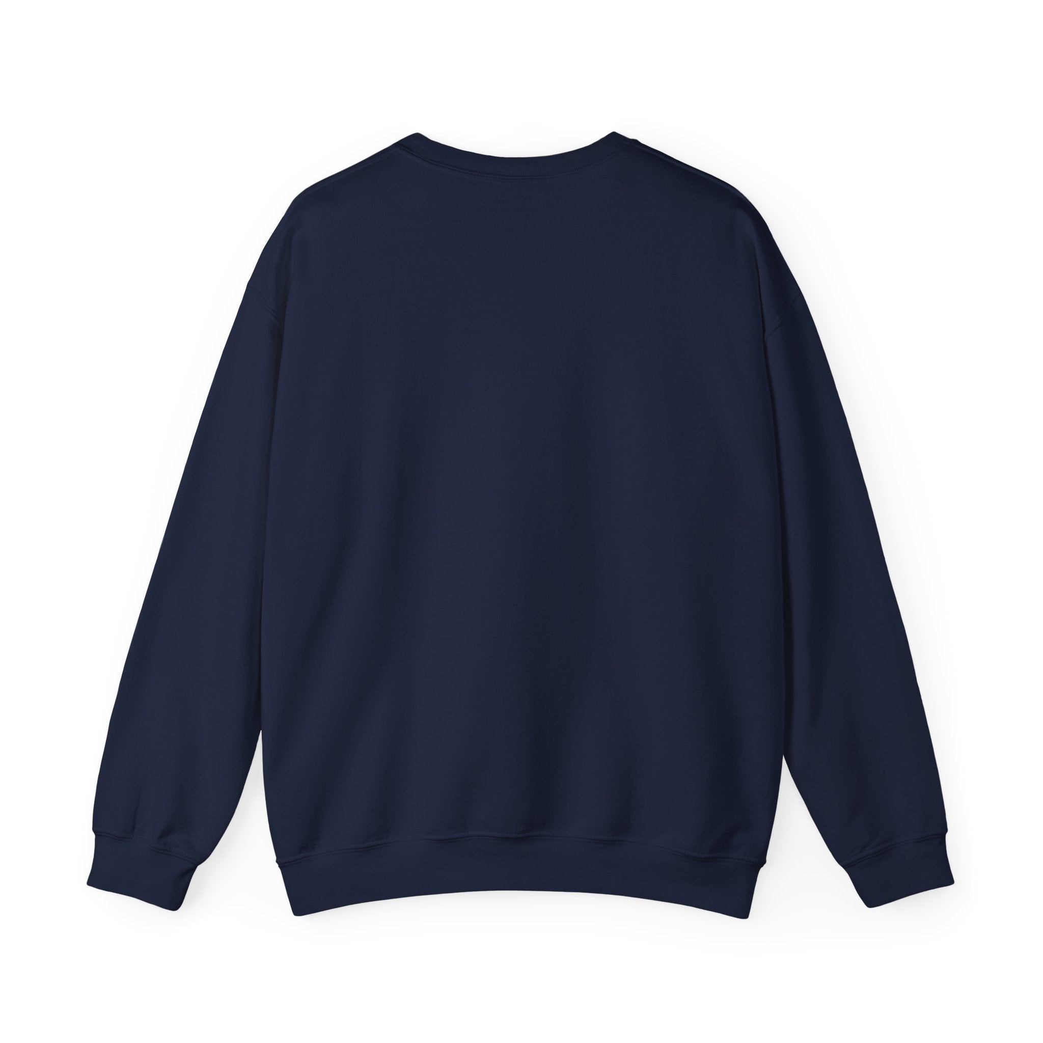 Men Crewneck Sweatshirt