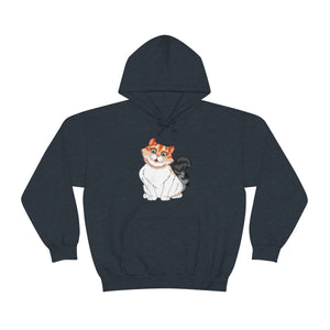 Ladies Hooded Sweatshirt