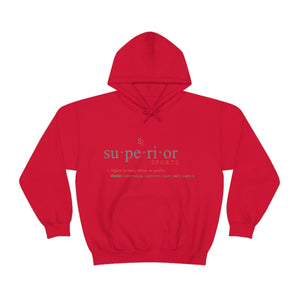 LADIES HOODED SWEATSHIRT