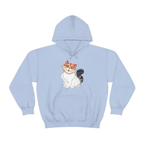 Ladies Hooded Sweatshirt