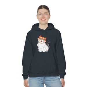 Ladies Hooded Sweatshirt