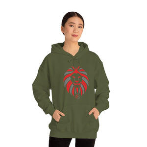 Kids Hoodies
