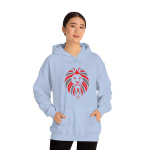 Men Hooded Sweatshirt