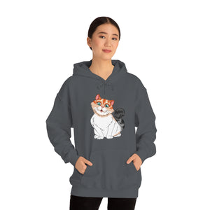 Ladies Hooded Sweatshirt