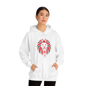 Men Hooded Sweatshirt