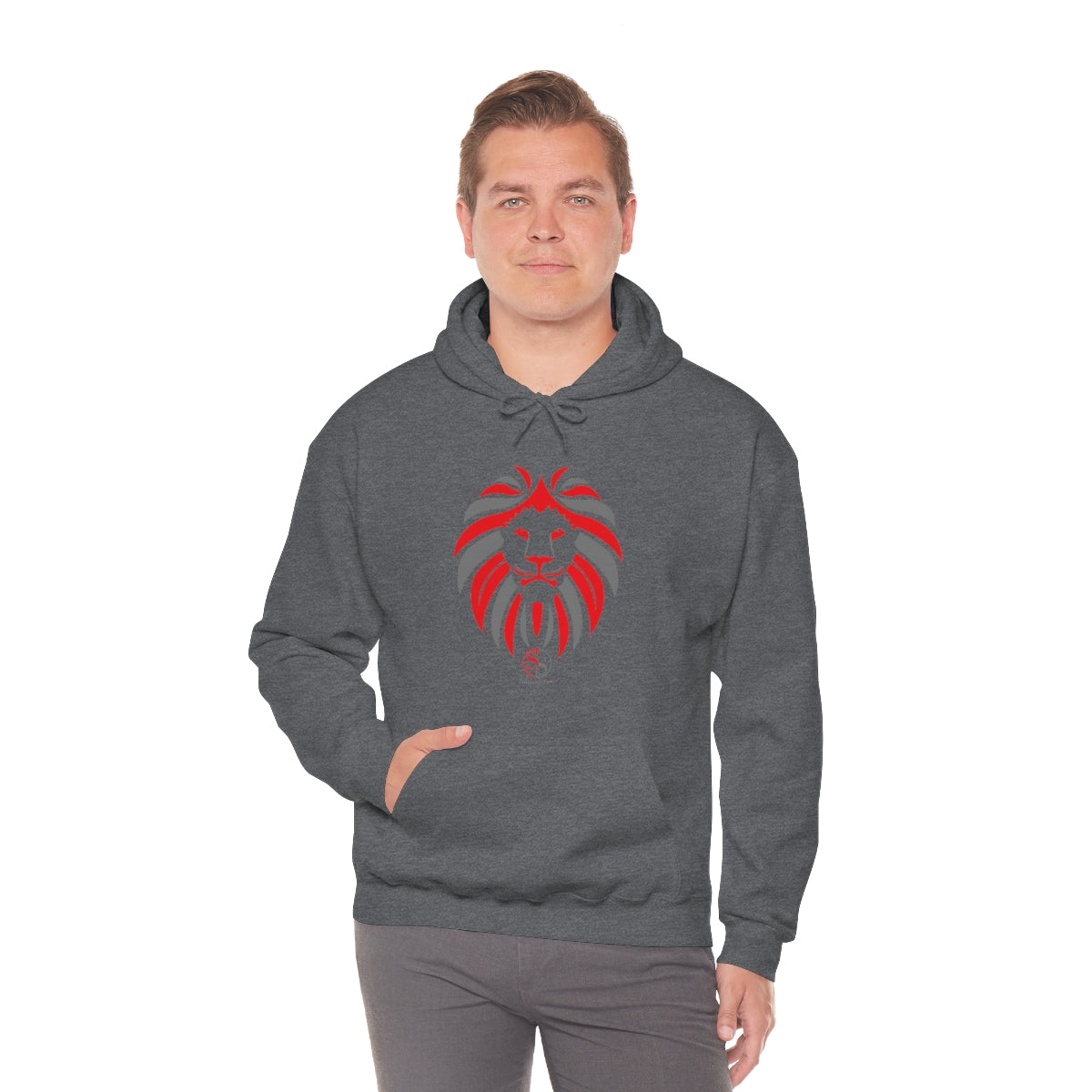 Men Hooded Sweatshirt