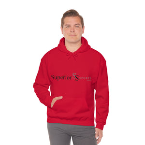 MEN HOODED SWEATSHIRT