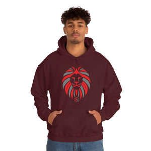 Kids Hoodies