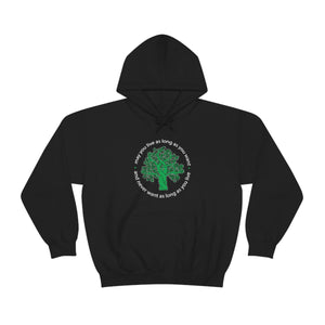 Ladies Hooded Sweatshirt