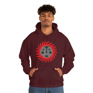 Kids Hoodies