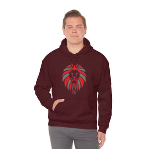Kids Hoodies