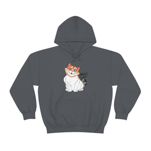 Ladies Hooded Sweatshirt