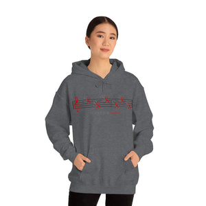 Ladies Hooded Sweatshirt