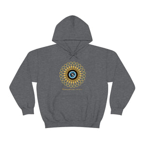 Ladies Hooded Sweatshirt