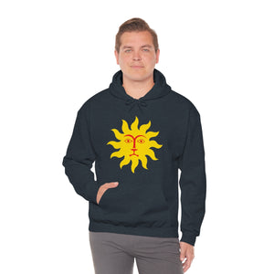 Ladies  Hooded Sweatshirt