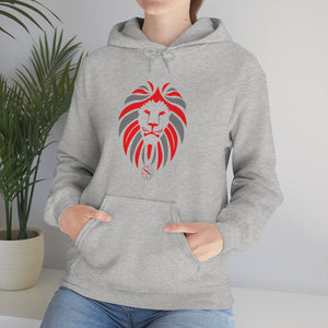 Kids Hoodies