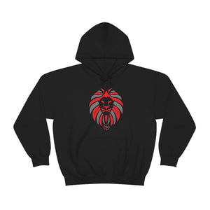 Kids Hoodies