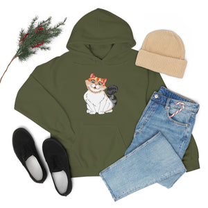 Ladies Hooded Sweatshirt