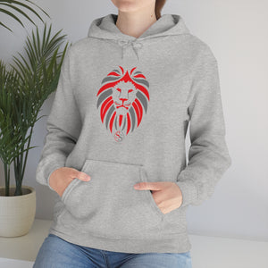 Men Hooded Sweatshirt
