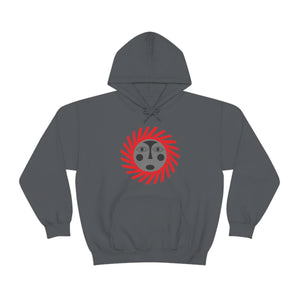 Kids Hoodies