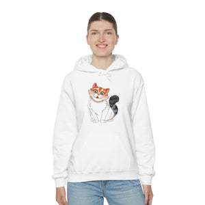 Ladies Hooded Sweatshirt