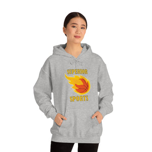 Men Hooded Sweatshirt