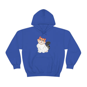 Ladies Hooded Sweatshirt