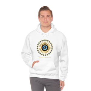 Ladies Hooded Sweatshirt