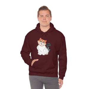 Ladies Hooded Sweatshirt