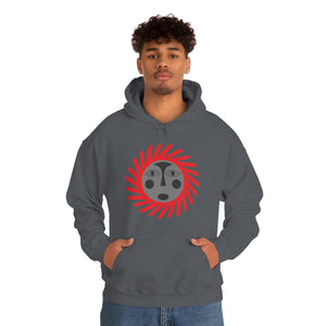 Kids Hoodies