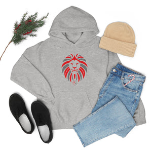 Kids Hoodies