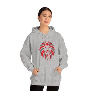 Kids Hoodies