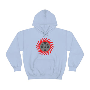 Kids Hoodies