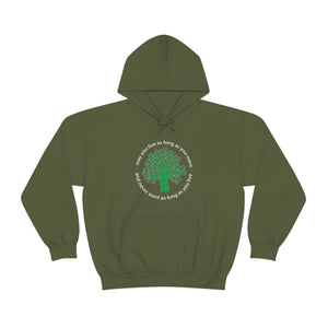 Ladies Hooded Sweatshirt