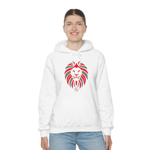 Kids Hoodies