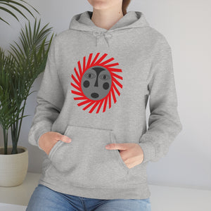Kids Hoodies