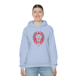 Kids Hoodies