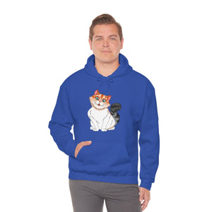 Ladies Hooded Sweatshirt
