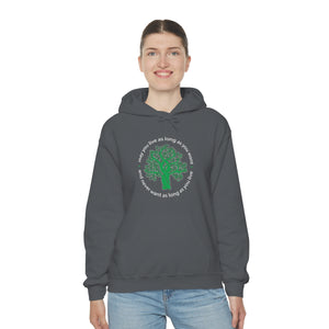 Ladies Hooded Sweatshirt