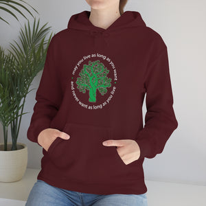 Ladies Hooded Sweatshirt