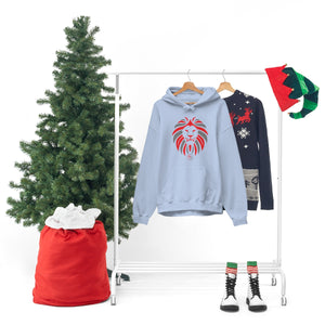 Kids Hoodies