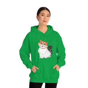 Ladies Hooded Sweatshirt