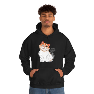 Ladies Hooded Sweatshirt