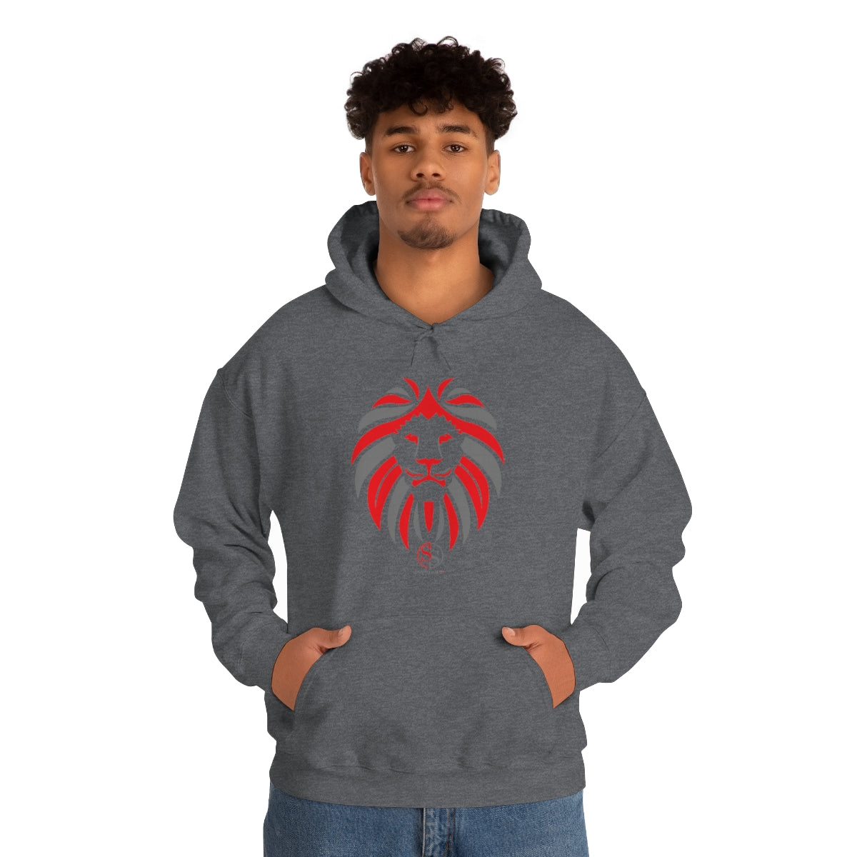 Men Hooded Sweatshirt