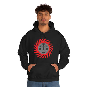 Kids Hoodies
