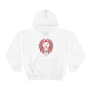 Kids Hoodies