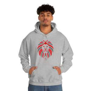 Men Hooded Sweatshirt