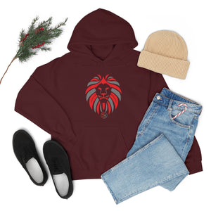 Kids Hoodies