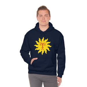 Ladies  Hooded Sweatshirt