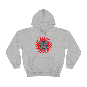 Kids Hoodies